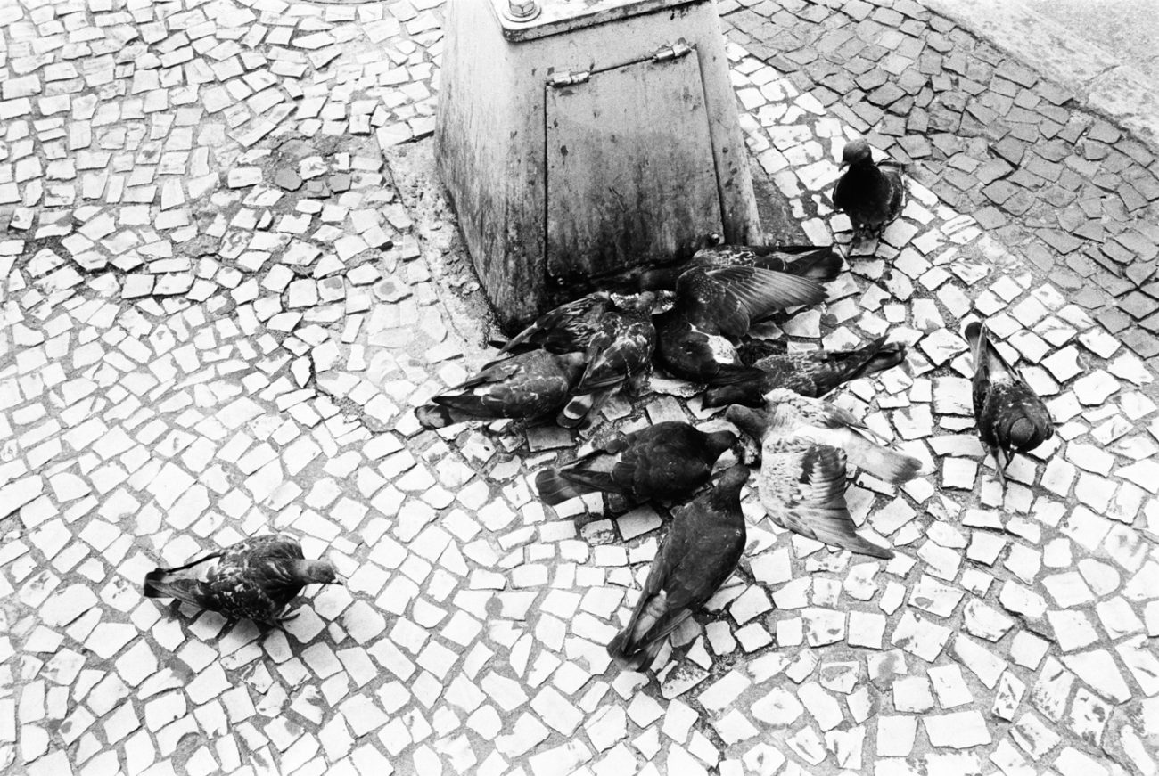 Le monde à la renverse