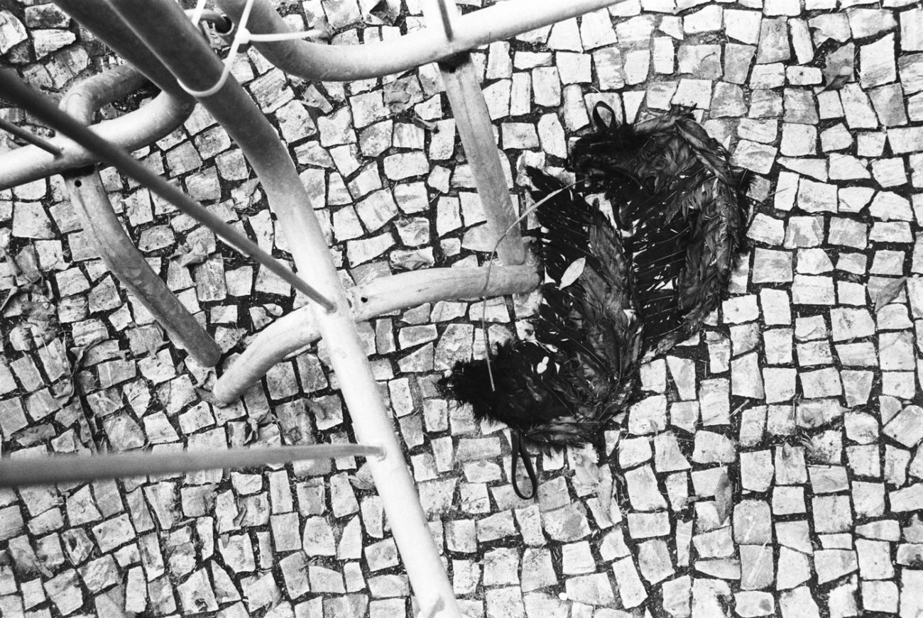 Le monde à la renverse