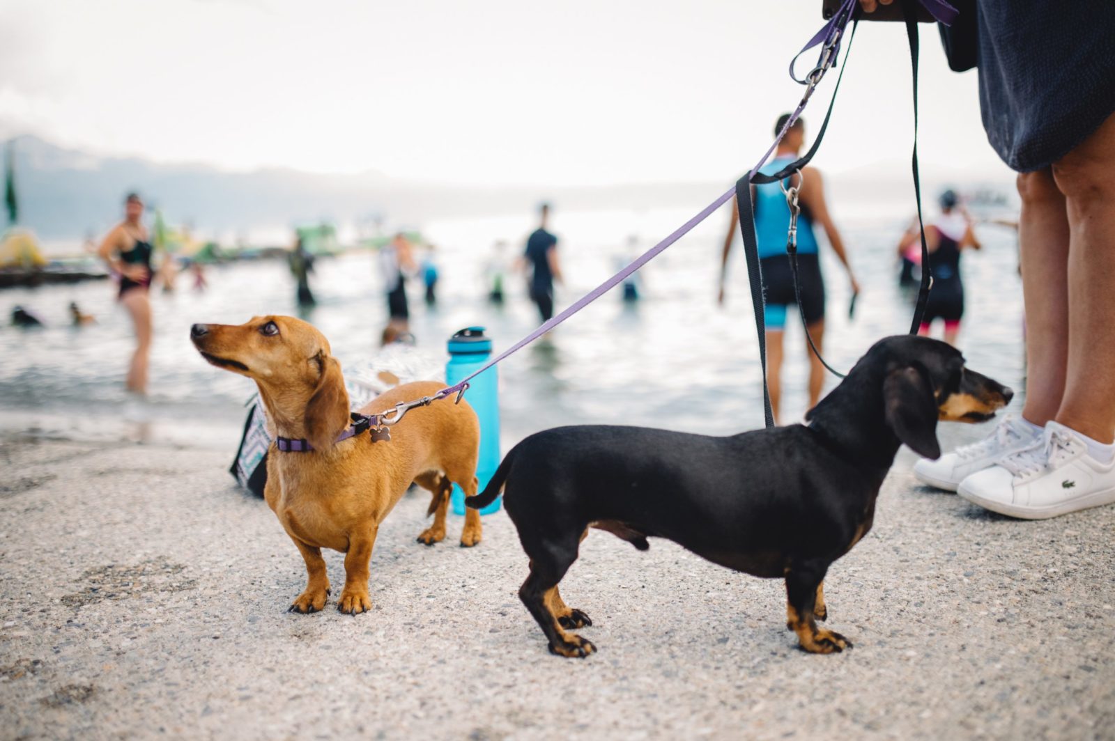 Courir après soi Courir après soi